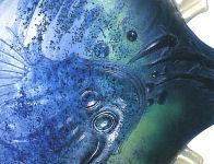 �T���b�V���[��